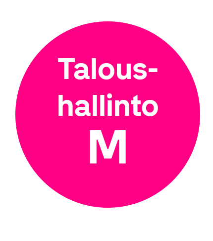 Go taloushallinto M