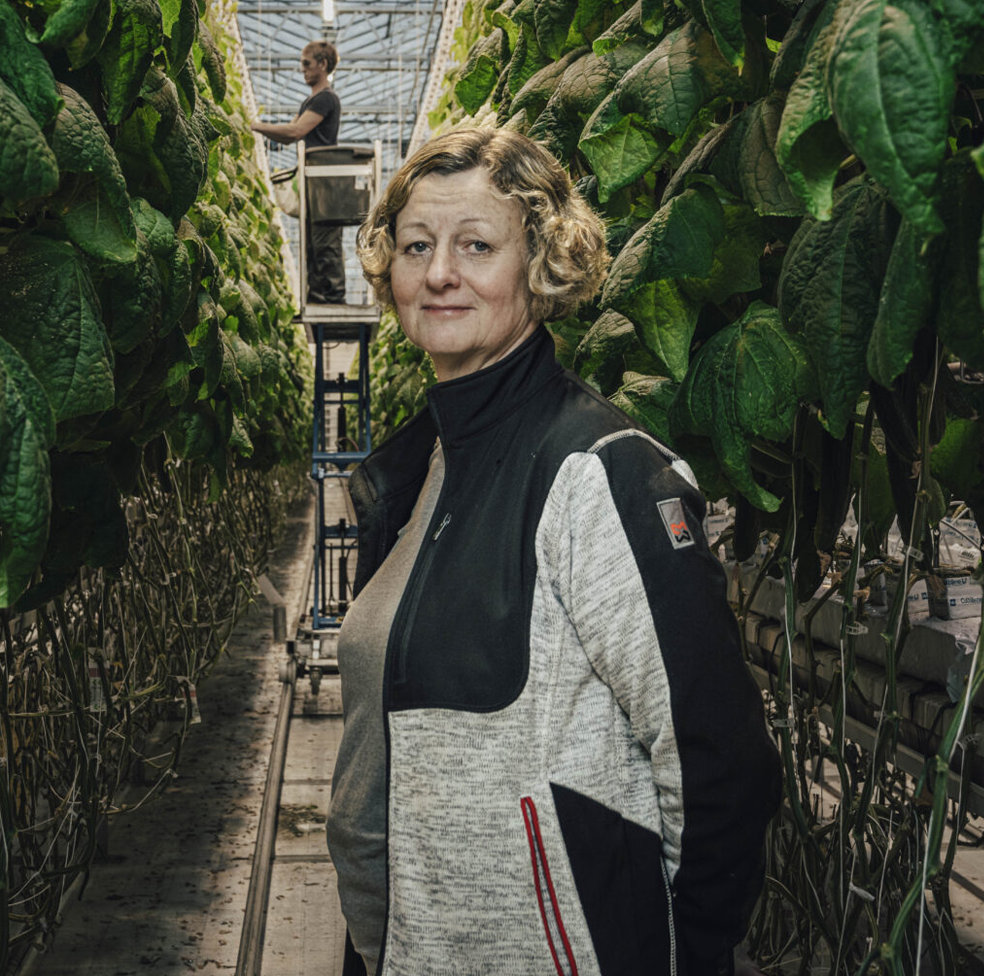 Harfs Handelsträdgård on Aspian tyytyväinen asiakas