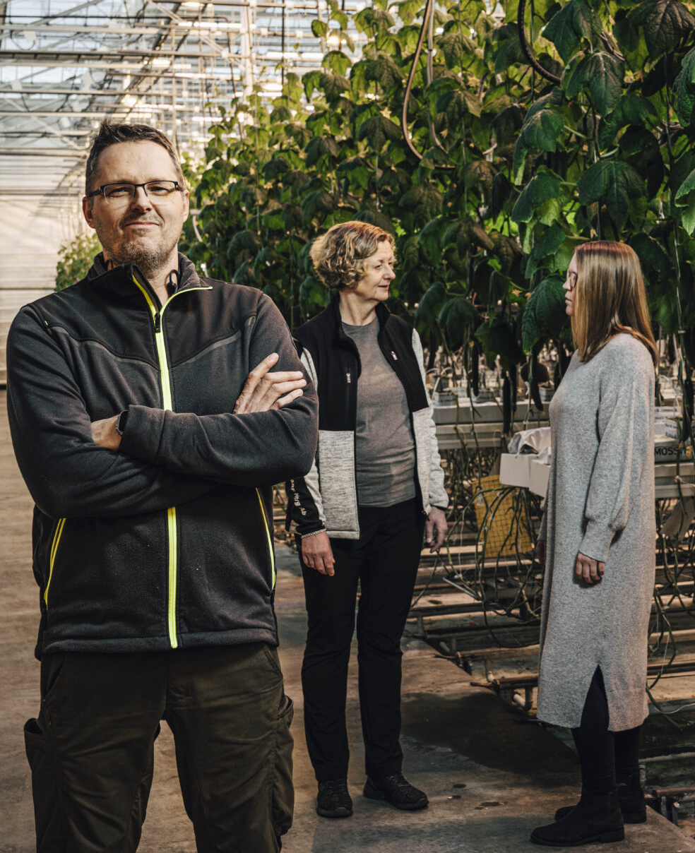 Närpiö on Suomen kasvihuoneviljelyn sydän