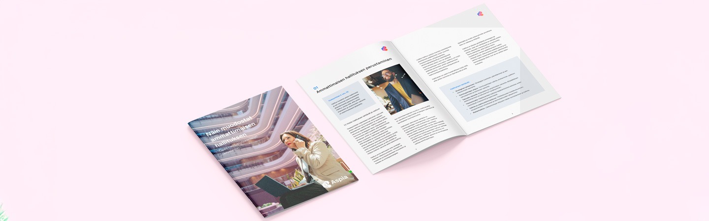 opas-ammattimaisen-hallituksen-muodostamiseen